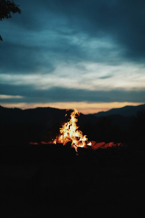 unsplash/domenic sansotta